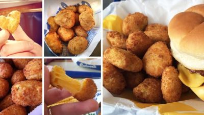 Culvers Cheese Curds Nutrition Facts